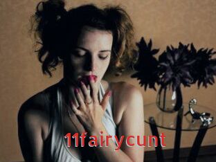 11fairycunt Archive DVD NET