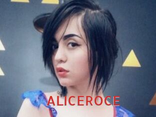 ALICEROCE Archive DVD NET