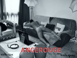 ANGEROUGE Archive DVD NET