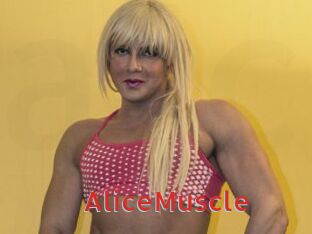 AliceMuscle Archive DVD NET