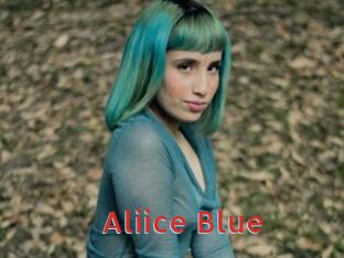 Aliice_Blue Archive DVD NET