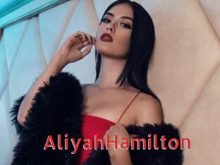 AliyahHamilton Archive DVD NET