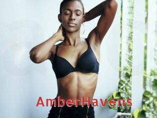 AmberHavens Archive DVD NET