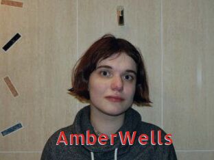 AmberWells Archive DVD NET
