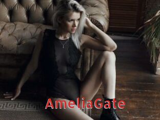 AmeliaGate