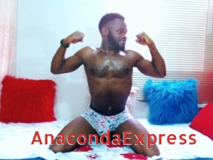 AnacondaExpress