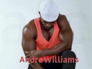 AndreWilliams Archive DVD NET