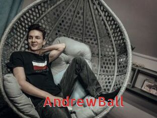 AndrewBall Archive DVD NET