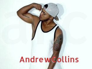 AndrewCollins Archive DVD NET