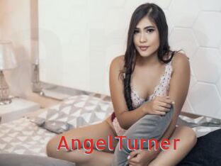 AngelTurner Archive DVD NET