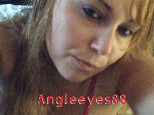 Angleeyes88 Archive DVD NET