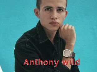 Anthony_wild