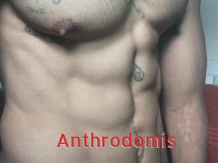 Anthrodomis