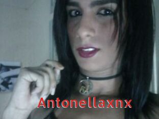 Antonellaxnx