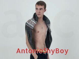 AntonioShyBoy