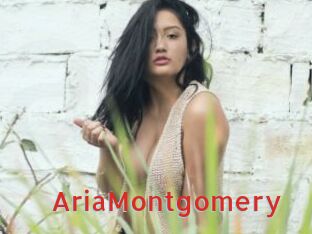 AriaMontgomery