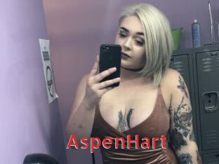 AspenHart Archive DVD NET