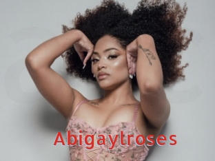 abigaylroses Archive DVD NET