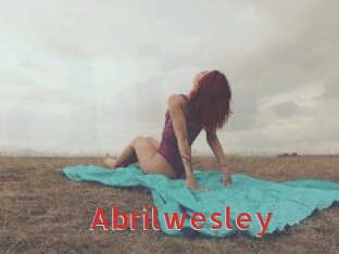 abrilwesley Archive DVD NET