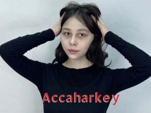 Accaharkey