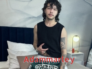 adammarley Archive DVD NET