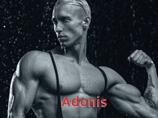 Adonis
