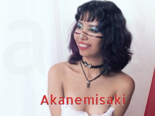 Akanemisaki