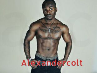 Alexandercolt