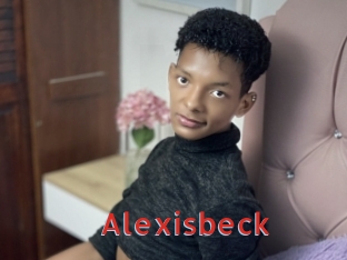 alexisbeck Archive DVD NET
