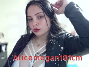 Alicemegan101cm