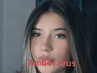 amberzeus Archive DVD NET