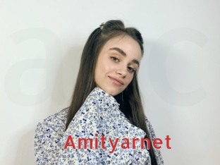 Amityarnet