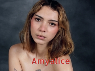 Amyalice