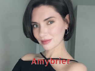 amybrier Archive DVD NET