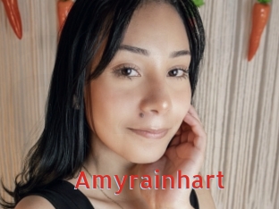 amyrainhart Archive DVD NET