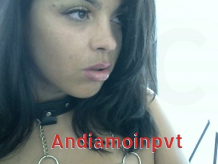 Andiamoinpvt