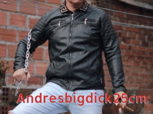 Andresbigdick25cm