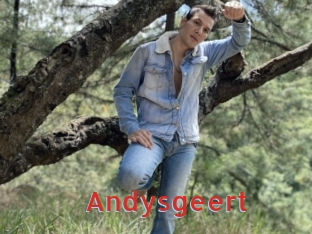 Andysgeert