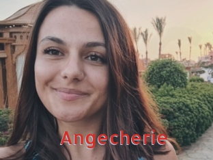 angecherie Archive DVD NET
