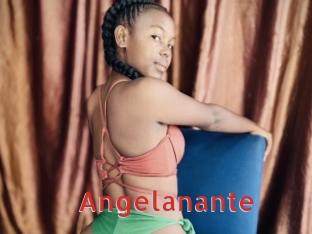 angelanante Archive DVD NET
