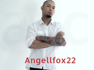 Angellfox22