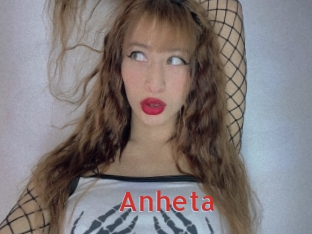 anheta Archive DVD NET