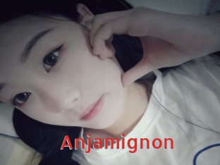 Anjamignon