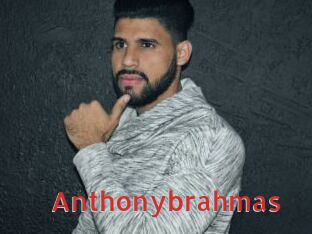 Anthonybrahmas