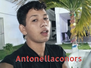 Antonellaconors