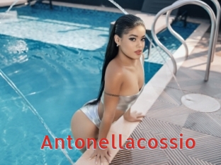 Antonellacossio