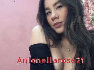 antonellarose21 Archive DVD NET