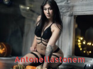 antonellastonem Archive DVD NET