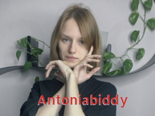 Antoniabiddy