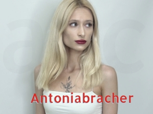 Antoniabracher